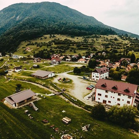 Pensiunea 3 Brazi Zărneşti Εξωτερικό φωτογραφία