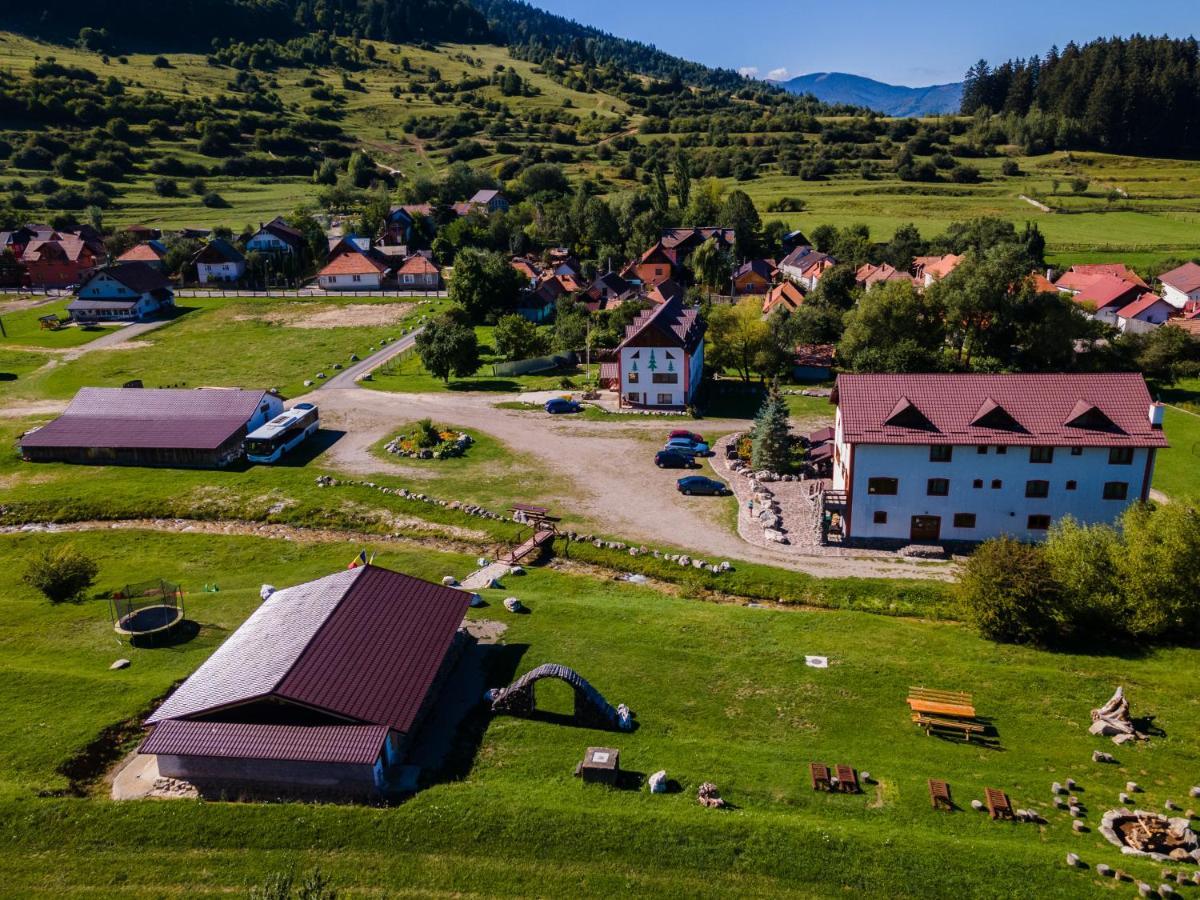 Pensiunea 3 Brazi Zărneşti Εξωτερικό φωτογραφία