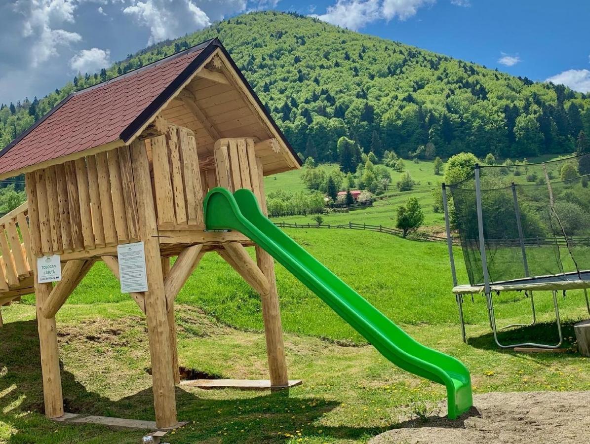 Pensiunea 3 Brazi Zărneşti Εξωτερικό φωτογραφία