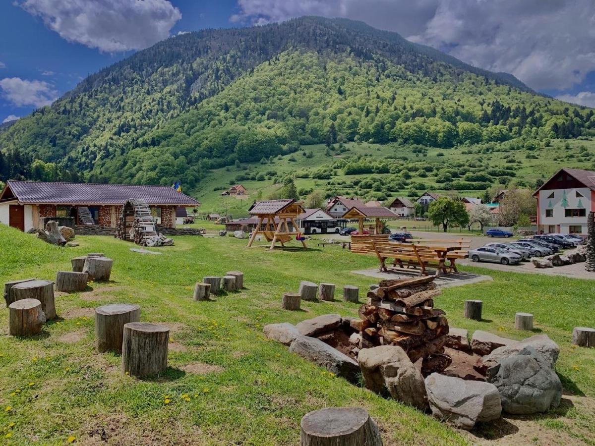 Pensiunea 3 Brazi Zărneşti Εξωτερικό φωτογραφία