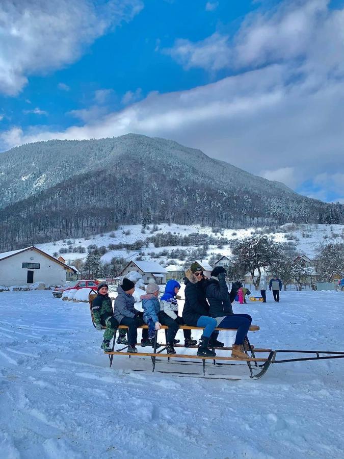 Pensiunea 3 Brazi Zărneşti Εξωτερικό φωτογραφία