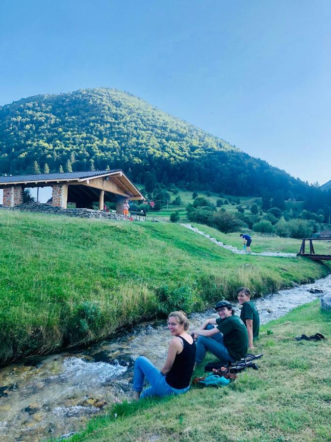 Pensiunea 3 Brazi Zărneşti Εξωτερικό φωτογραφία